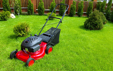 10 Mistakes you should Avoid while Choosing a Mower