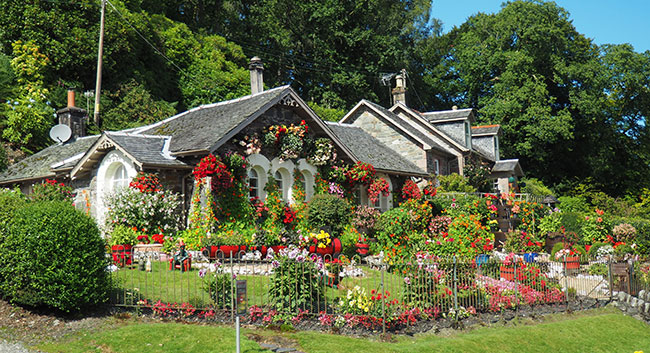Front Garden Ideas Tips On How You Can, How To Make Your Front Garden Look Better