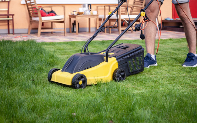 The Best Corded Electric Lawn Mower